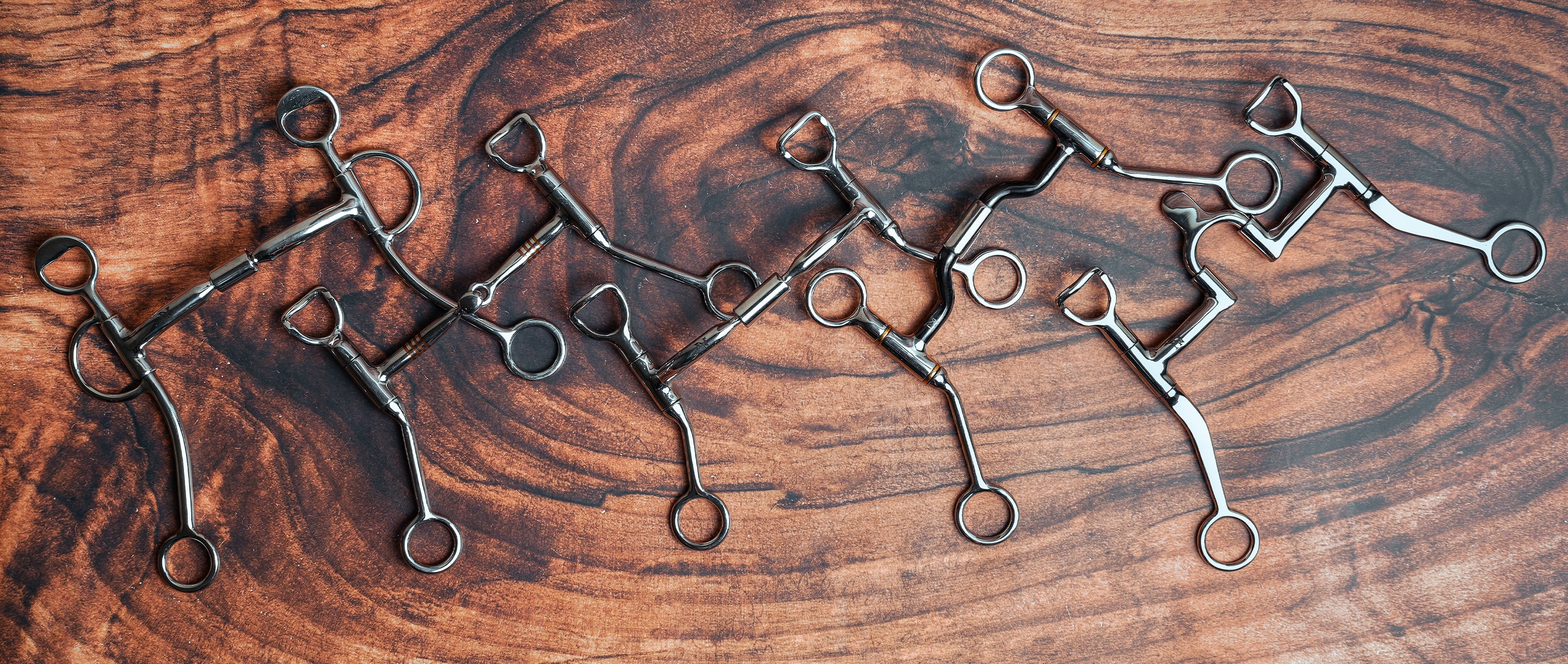 New York Tack - Affordable & Durable Horse Equipment